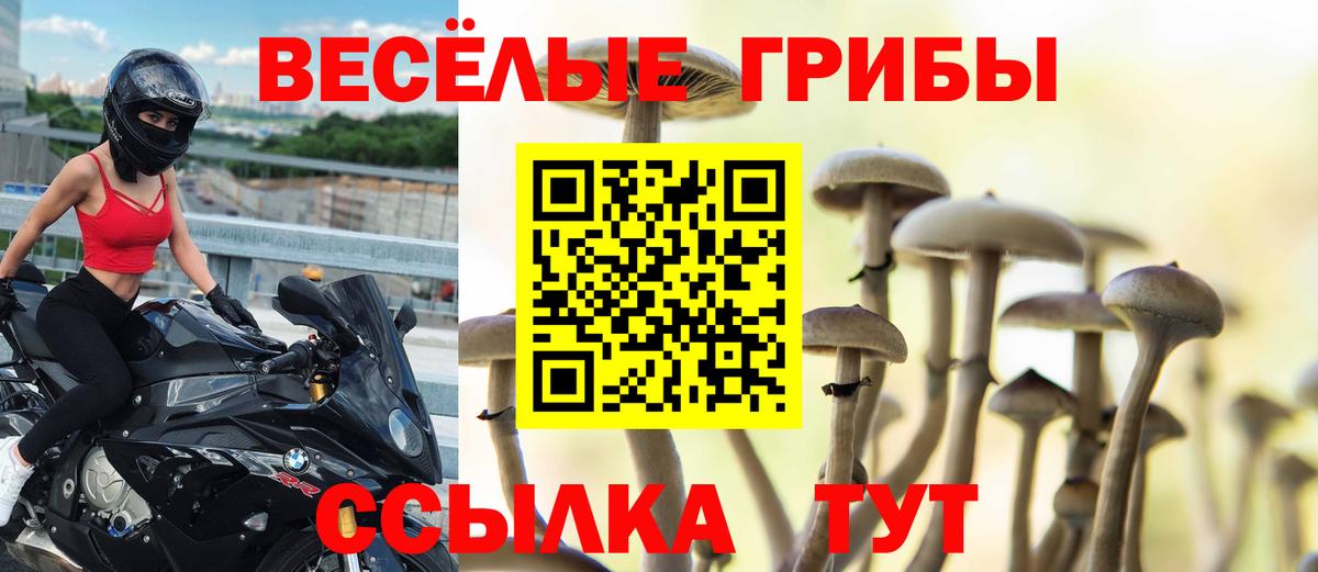 Псилоцибиновые грибы Magic Shrooms  Псилоцибиновые грибы ЛСД  Ипатово  Вход с VPN 